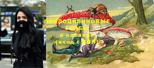 мескалин Арсеньев
