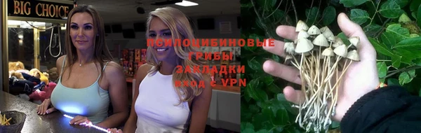круглые Аркадак