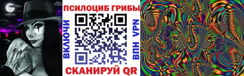 Псилоцибиновые грибы Cubensis  закладка  Ухта 